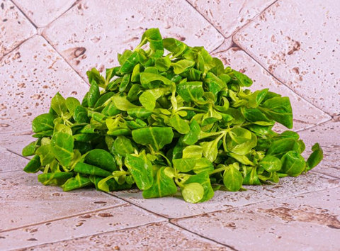 LAMBS LETTUCE 1KG (#122683)