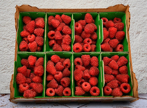 RASPBERRY TULAMEEN 100G (#122716)