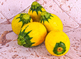 ROUND YELLOW ZUCCHINI 1KG (#122740)