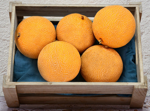 ORGANIC MELON GALIA0.5KG+/- (#121188)