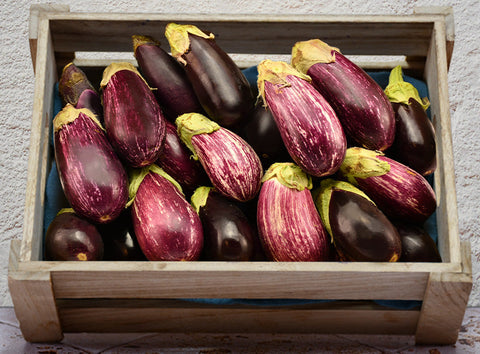 MINI EGGPLANT 1KG (#122684)