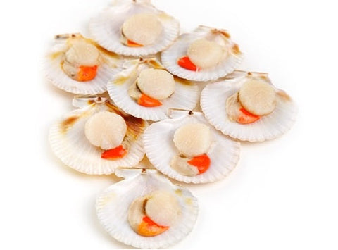 HALF SHELL SCALLOPS 1KG (#122281)