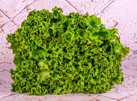 ORGANIC BATAVIA LETTUCE (#123176)