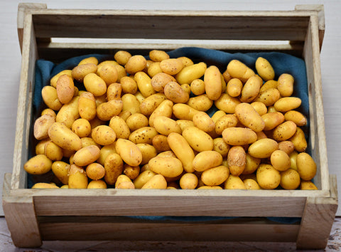 DELICATESSE MITRAILLE POTATO 1KG (#122757)