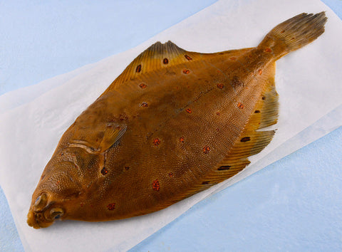 PLAICE GUTTED MSC 600G (#123062)