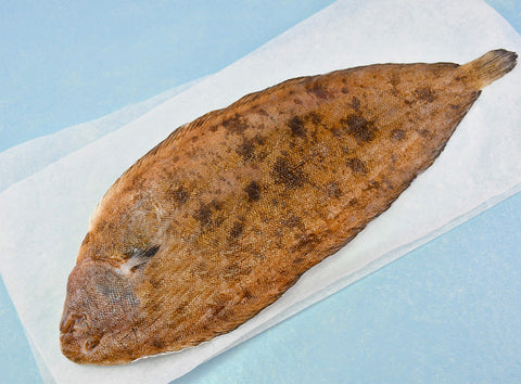 DOVER SOLE MSC 500G (#123060)