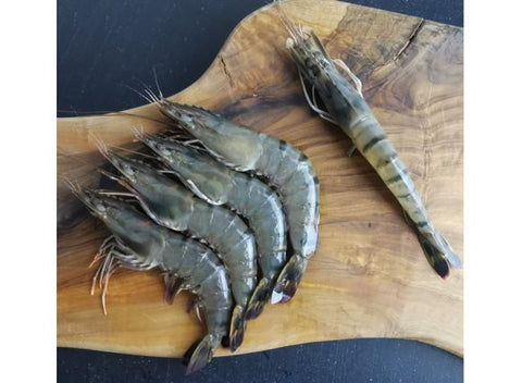 TIGER PRAWN 300G (#123066)