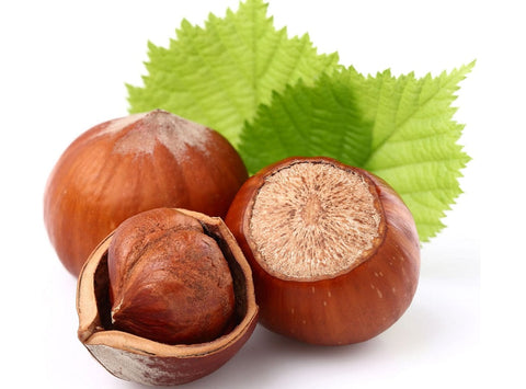 FRESH HAZELNUTS 500G (#122778)