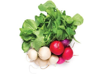 MIX COLOURED RADISH (#122699)