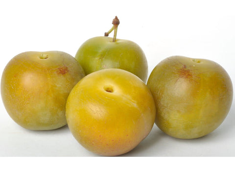 ORGANIC GOLDEN REINE CLAUDE PLUM 500G+/- (#121275)