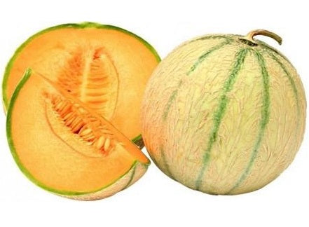 CAVAILLON MELON 1KG (#122724)