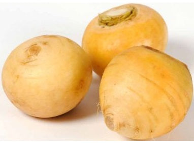 GOLDEN BALL TURNIP 1KG (#122769)