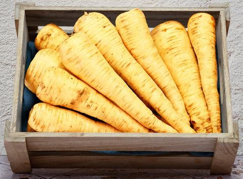 PARSNIP 1KG (#122801)