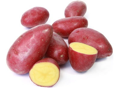 CHEYENNE POTATO 1KG (#122841)