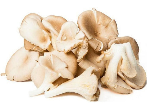 ORGANIC OYSTER MUSHROOM 0.2KG+/- (#121306)