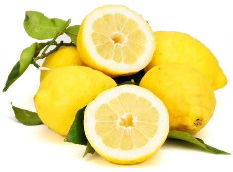 LEMON AMALFI WITH LEAVES 1KG (#122835)