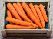 ORGANIC WASHED CARROT 1KG+/- (#123154)