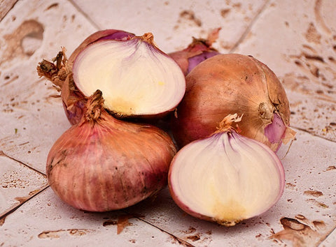 ORGANIC RED ONION 500+/- (#123202)