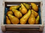 ORGANIC CONFERENCE PEAR 0.5KG+/- (#123723)