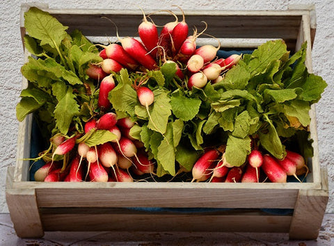 ORGANIC LONG RED RADISH 0.5KG+/- (#123190)