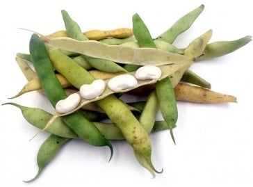 TARBAIS WHITE BEANS 1KG (#122766)
