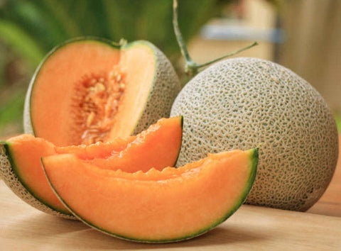 RED KING MELON 900G (#122690)