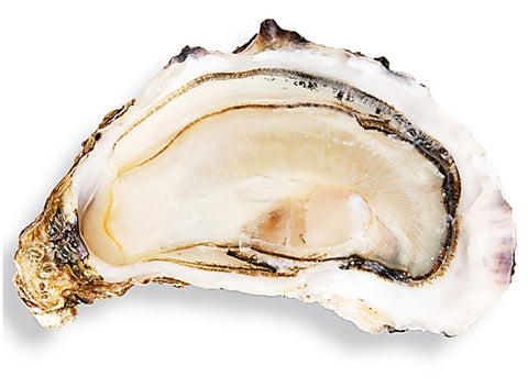 FINES DE CLAIRE OYSTERS NO3 24PC (#122583)