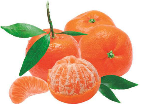 ORGANIC DEMETER CLEMENVILLA MANDARIN 1KG (#123702)