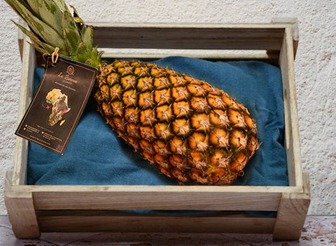 ORGANIC SUGARLOAF PINEAPPLE 0.7KG+/- (#121270)