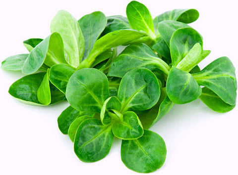 ORGANIC LAMBS LETTUCE SALAD (#121161)