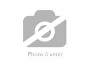 COOKED CANADIAN LOBSTER 350G (#120531)