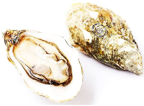GILLARDEAU OYSTERS NO2 24PC (#122632)