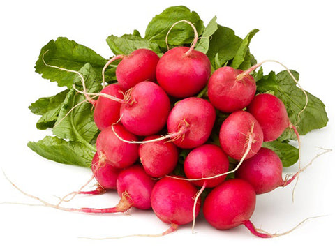 ORGANIC RED ROUND RADISH (#123722)