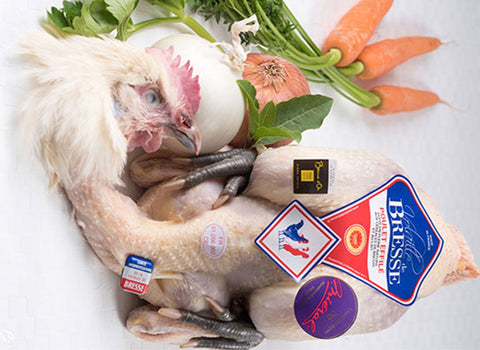 PDO BRESSE YOUNG FEMALE CHICKEN 1.3KG (#122646)