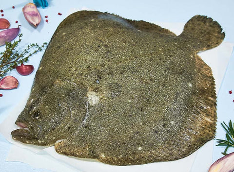 WILD ATLANTIC TURBOT 1.2KG (#122645)