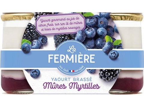 BLUEBERRY BLACKBERRY YOGURT 160G (#114651)