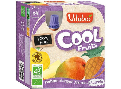 ORGANIC COOL FRUIT APPLE MANGO PINEAPPLE 90G (#126652)