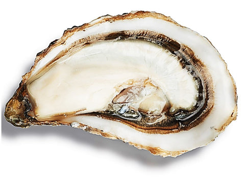 MONT SAINT MICHEL OYSTERS NO3X50P 50PC (#128007)