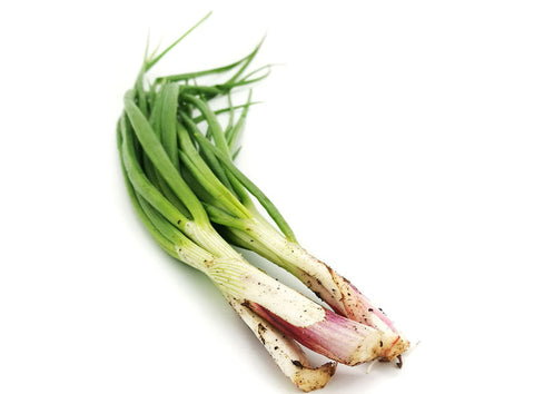 ORGANIC SPRING ONION 40G (#125975)