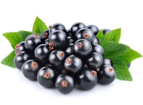 BLACKCURRANT 250G (#122698)