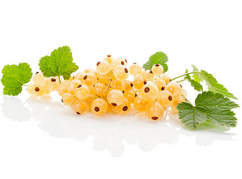 WHITE CURRANT 1KG (#122689)