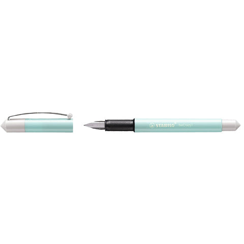 ASSORTED PASTEL FOUNTAIN PEN (#122206)