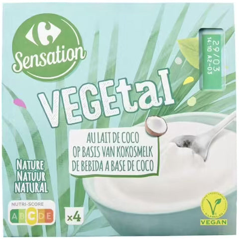 COCONUT MILK YOGURT 100G (#113741)