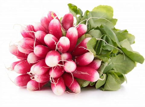 PINK RADISH (#122811)