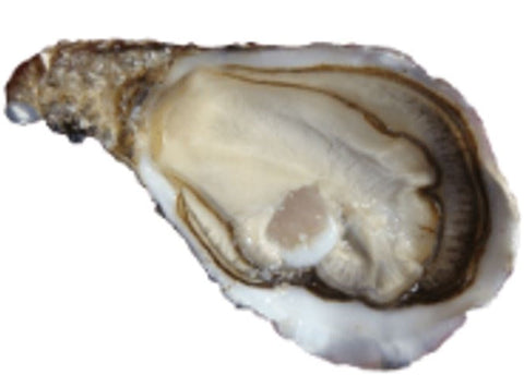 LA SPECIALE OYSTERS NO3X24P 24PC (#128012)