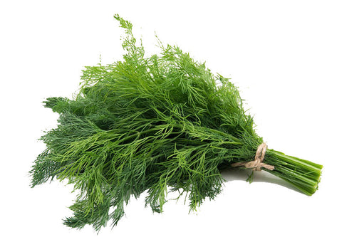 ORGANIC FRESH DILL (#121194)