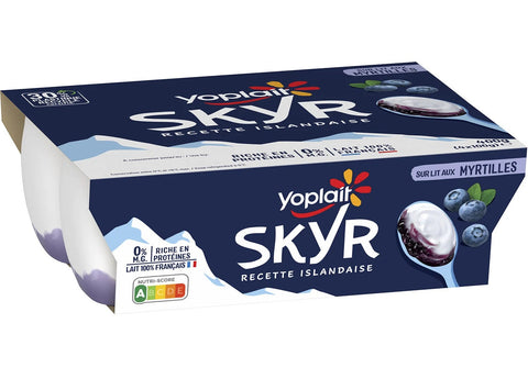 SKYR 0 BLUEBERRY YOGURT 100G (#114672)