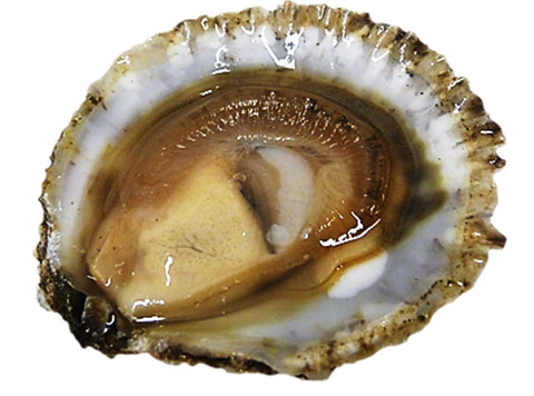 BELON PLATE OYSTERS NO00 25PC (#122614)