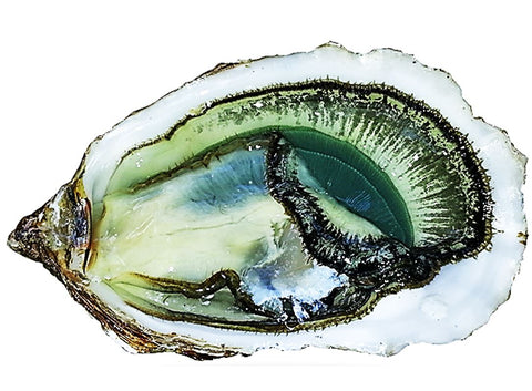 FINES DE CLAIRE GREEN OYSTERS NO3 24PC (#122594)