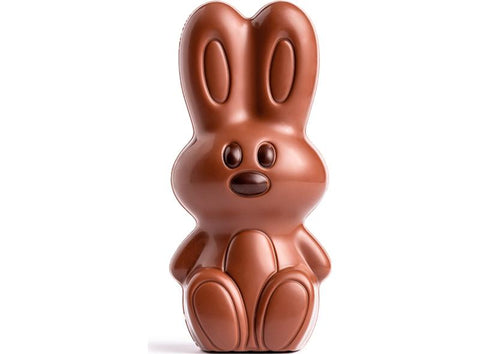 MILK CHOCOLATE CHARLIE MOULD 100G (#122941)